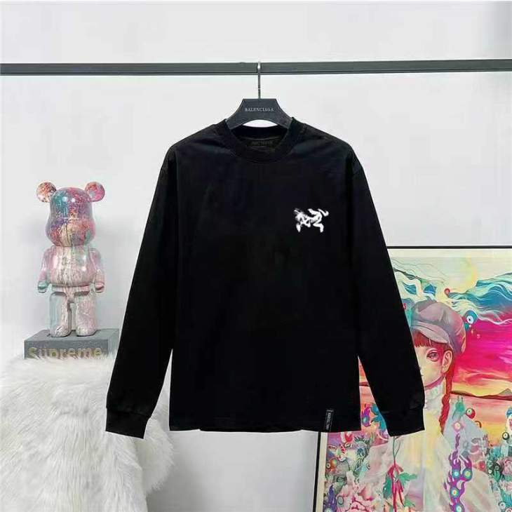 Picture of Arcteryx T Shirt Long _SKUArcteryxXS-LtptxD50749749